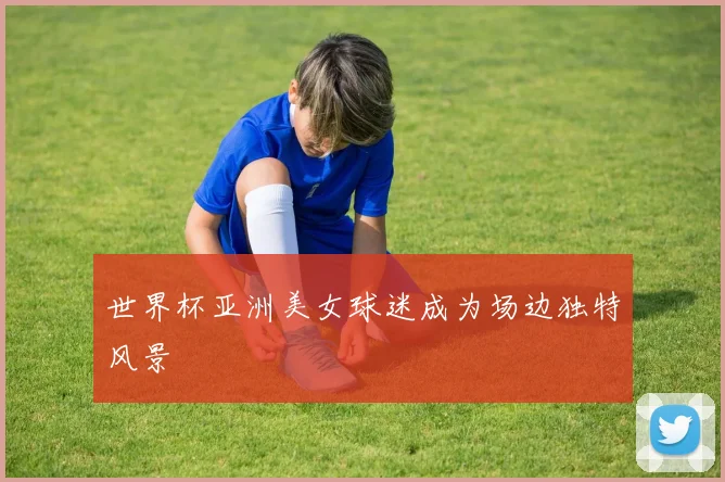 世界杯亚洲美女球迷成为场边独特风景