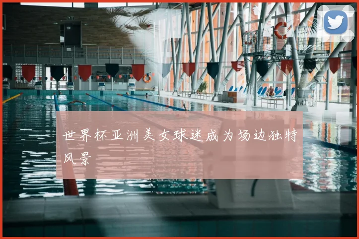 世界杯亚洲美女球迷成为场边独特风景