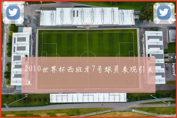 2010世界杯西班牙7号球员表现引关注